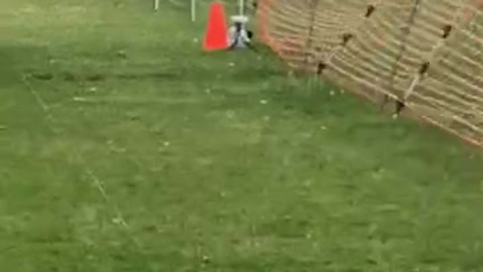 FastCAT